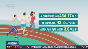 BB贝博艾弗森官网 学校的乒乓球台标准吗
